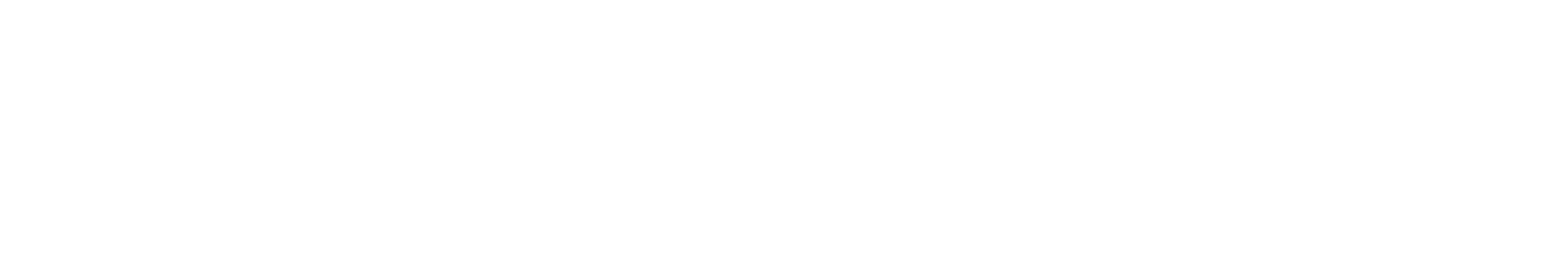 SMGBit